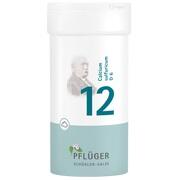 Pflüger BIOCHEMIE PFLUEGER 12 CALCIUM SULFUR.D 6 PULVER