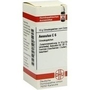 DHU-Arzneimittel AESCULUS C 6 GLOBULI, 10 g