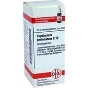 DHU-Arzneimittel EUPATORIUM PERFOLIATUM C 12 GLOBULI, 10 g