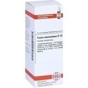 DHU-Arzneimittel FUCUS VESICULOSUS D 12 DIL., 20 ml