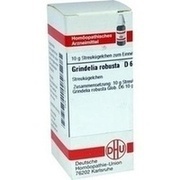 DHU-Arzneimittel GRINDELIA ROBUSTA D 6 GLOBULI, 10 g