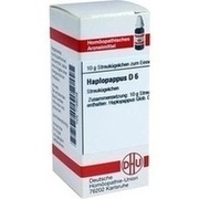 DHU-Arzneimittel HAPLOPAPPUS D 6 GLOBULI, 10 g