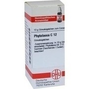 DHU-Arzneimittel PHYTOLACCA C 12 GLOBULI, 10 g