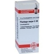 DHU-Arzneimittel PLANTAGO MAJOR C 30 GLOBULI, 10 g