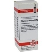 DHU-Arzneimittel PLANTAGO MAJOR D 12 GLOBULI, 10 g