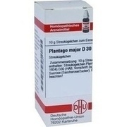 DHU-Arzneimittel PLANTAGO MAJOR D 30 GLOBULI, 10 g
