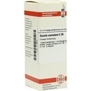 DHU-Arzneimittel SECALE CORNUTUM C 30 DIL. 20 ML DILUTION