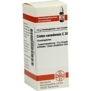 DHU-Arzneimittel CISTUS CANADENSIS C 30 GLOBULI, 10 g