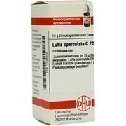 DHU-Arzneimittel LUFFA OPERCULATA C 200 GLOBULI, 10 g