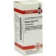 DHU-Arzneimittel CASTOR EQUI. D 12 GLOBULI, 10 g