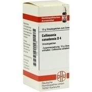 DHU-Arzneimittel COLLINSONIA CANADENSIS D 4 GLOBULI, 10 g