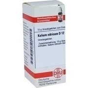 DHU-Arzneimittel KALIUM NITRICUM D 12 GLOBULI, 10 g