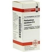 DHU-Arzneimittel PHELLANDRIUM AQUATICUM D 6 GLOBULI, 10 g