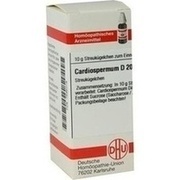 DHU-Arzneimittel CARDIOSPERMUM D 200 GLOBULI, 10 g