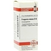 DHU-Arzneimittel FRAGARIA VESCA D 6 GLOBULI, 10 g