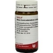 Wala RHUS TOX. E FOL. D 12 GLOBULI, 20 g