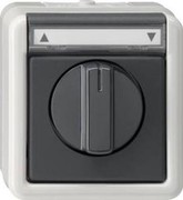 Gira Jalousietaster/Schalter gr 015430