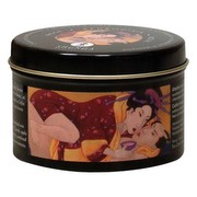 Shunga Massagekerze Aphrodisia mit ätherischem Öl Rosenblüten