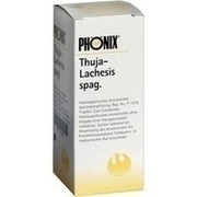 Phönix Laboratorium PHÖNIX THUJA-LACHESIS SPAG., 50 ml