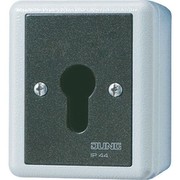 JUNG 806.28 G - Schlüsselschalter 806.28 G