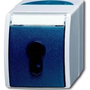 Busch-Jaeger Schlüsselschalter 2733 SLW-53