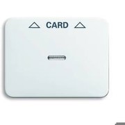 Busch Jaeger 1792-24G-101, Abdeckung für UP-Cardschalter 010001629 Busch Jaeger 1792-24G-101, Abdeckung für UP-Cardschalter 010001629