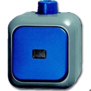 BUSCH-JAEGER 2601/6 SKWDI AUS/WECHSEL-KONTROL