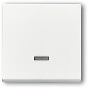 Busch Jaeger Busch-Jaeger 6543-84-101, Bedienelement mit Glimmlampe 010002116