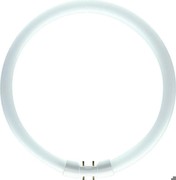 PHILIPS TL5 C 60W/840 Ringform Weiß