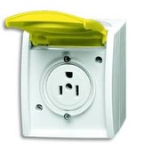 Busch-Jaeger Busch-Nema-Steckdose,15 A 3015 EWN-54
