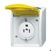 Busch-Jaeger Steckdose 3015 EWN-53