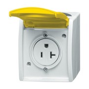Busch-Jaeger Steckdose 3016 EWN-53