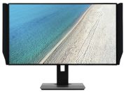 Acer PE320QK
