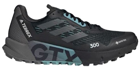 Adidas Terrex Agravic Flow 2 GTX Herren