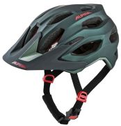 Alpina Carapax 2.0