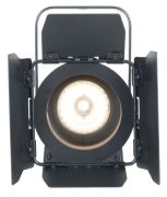 American DJ Encore FR20 DTW