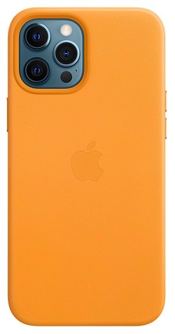 Apple iPhone 12 Pro Max Leder Case mit MagSafe