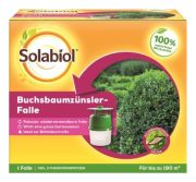 Bayer Garten Buchsbaumzünsler-Falle