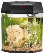 Infactory Beleuchtetes Panorama-Aquarium Hexagon 19 l