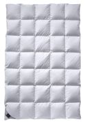 Billerbeck Ambiente Mono 155 x 220 cm