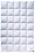 Billerbeck Gold-Edition Mono 155 x 220 cm