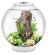 biOrb Classic 30 LED