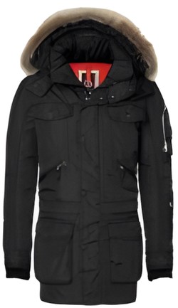 Bogner Phil