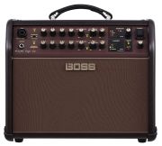 Boss Acoustic Singer Live