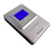 Braun PixelBank 60GB