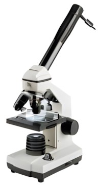 Bresser Biolux NV 20x-1280x