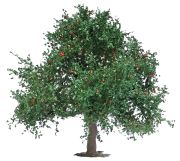 Busch Apfelbaum 75 mm (3652)
