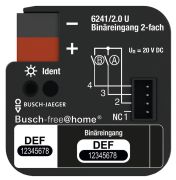 Busch-Jaeger Binäreingang 2-fach UP (6241/2.0 U)