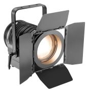 Cameo TS 100 WW