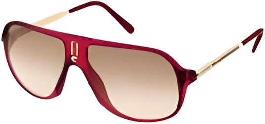 Carrera Safari